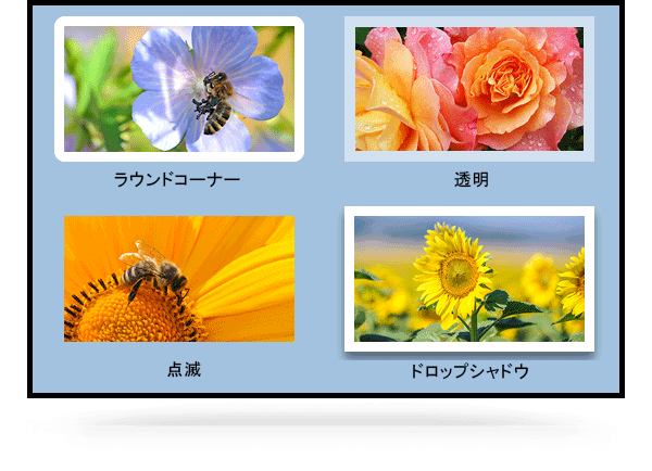 点滅ボーダー