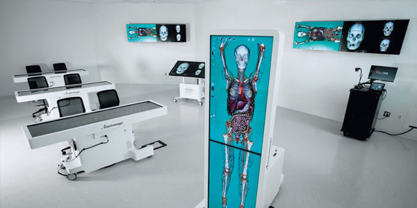 Un laboratorio di anatomia virtuale con numerosi tavoli che visualizzano caratteristiche anatomiche di ampio formato e display montati a parete.