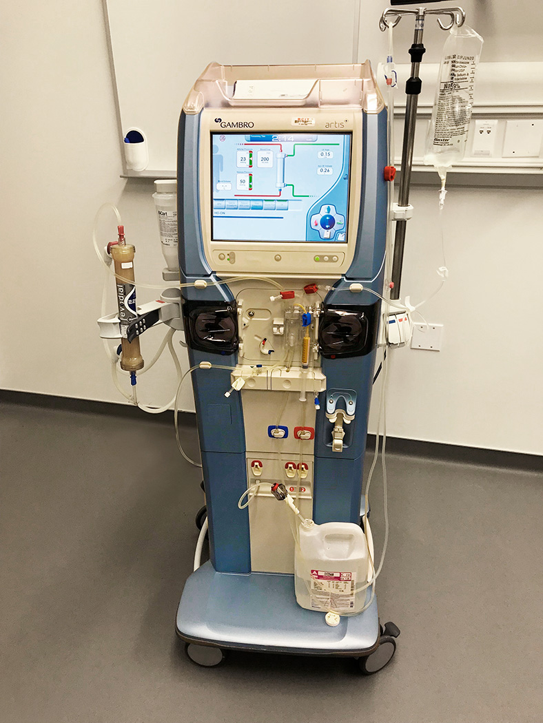 Multiple bed stations are designed to address specific processes, such as this one for dialysis treatment.