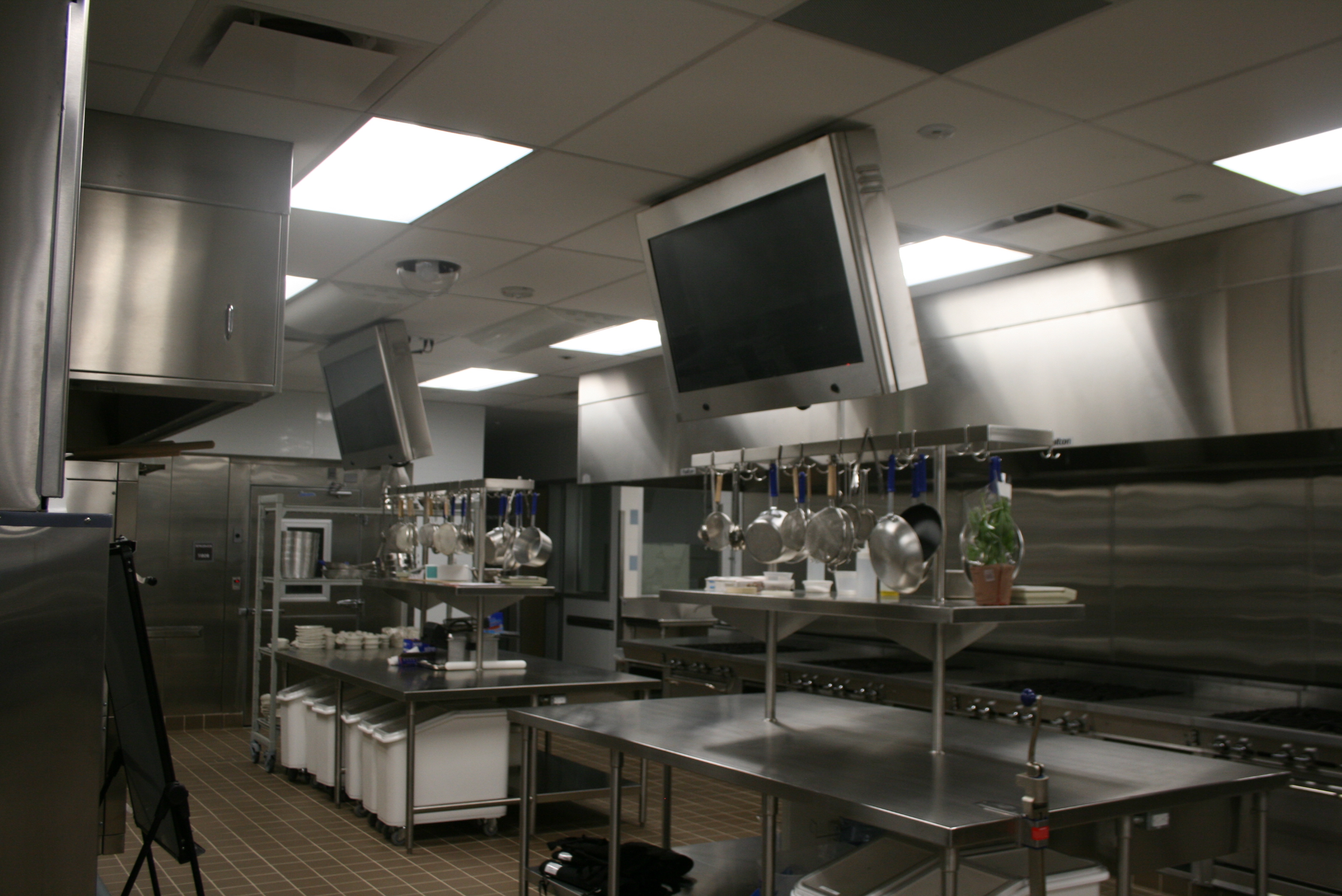 Workstation flat panel displays mounted on the ceiling