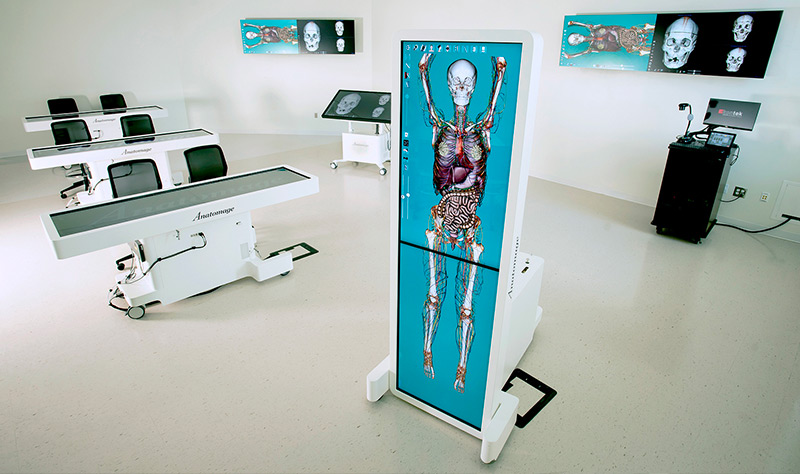 A virtual anatomy lab with multiple large tables that display anatomical features and wall mounted displays.