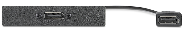 Eine DisplayPort-Buchse auf eine -Kupplung an 25 cm-Kabelpeitsche