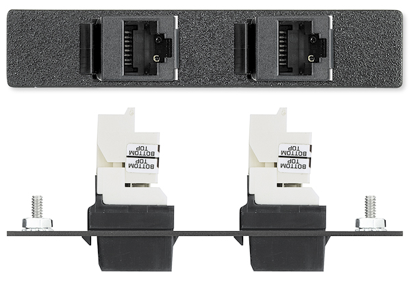 Two RJ-45 Female to Punch Down for CAT 6 - Panduit - Architectural  Connectivity