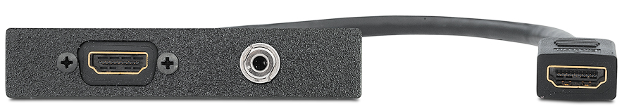 Eine HDMI-Buchse auf eine HDMI-Kupplung an 25 cm-Kabelpeitsche und eine 3,5 mm-Stereo-Klinkenbuchse auf Schraubklemmleiste
