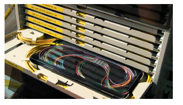 Figure 9: Fiber Optic Patch Panel